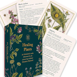 Healing Plant Flashcards