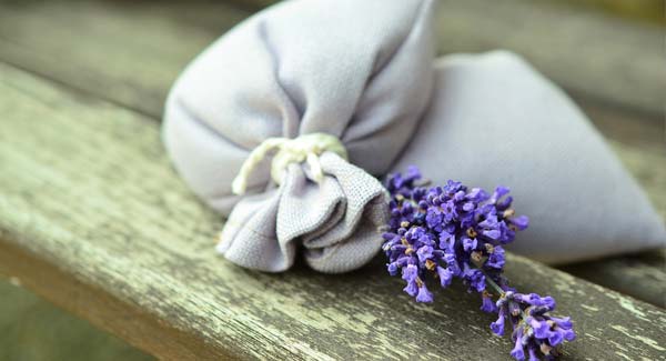 Lavender in a Cloth Bag - Benefits and Uses.